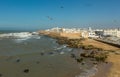 Seagulls over Essaouira old city, Morocco Royalty Free Stock Photo