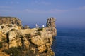 Seagulls over the ocean cliff