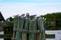 Seagulls perched on a group of pilings. Royalty Free Stock Photo