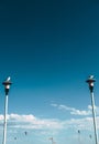 Seagulls perched on posts against a sky