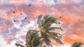 Seagulls and pigeons fly around palm trees swaying in the wind