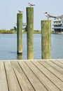 Seagulls on Pilings