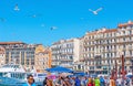 Seagulls in port Royalty Free Stock Photo