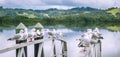 Seagulls on railings at Horeke on Hokianga Harbour, west coast,