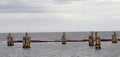 Seagulls resting on pier pillars in the bay