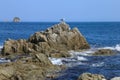 Seagulls on the rock in the sea Royalty Free Stock Photo