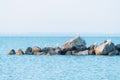 Seagulls on the rocks of breakwaters