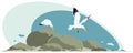 Seagulls on rocks near ocean. Illustration for internet and mobile website