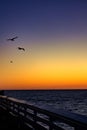 Seagulls During San Clemente Pier Sunset Royalty Free Stock Photo