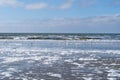 Seagulls and sandpipers walking along the waterline at the beach with sea and seafoam od spume