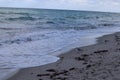 Seagulls on the sandy shore of the Atlantic Ocean