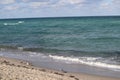 Seagulls on the sandy shore of the Atlantic Ocean Royalty Free Stock Photo