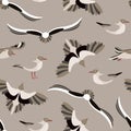 The seagulls. Seamless pattern with sea birds in the style of flat. Royalty Free Stock Photo