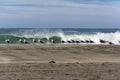 Seagulls on the seashore facing the waves Royalty Free Stock Photo