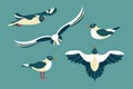 The seagulls. Set of seabirds in the style of flat.