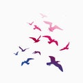 Seagulls silhouette Royalty Free Stock Photo