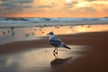 Seagulls silhouette, beach, sea, and sand merge in poetic simplicity