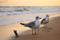 Seagulls silhouette, beach, sea, and sand merge in poetic simplicity