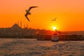 Seagulls and Silhouette of Istanbul at sunset Royalty Free Stock Photo