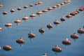 Seagulls sit on barrels of an oyster farm in the sea