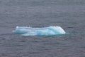 Seagulls sitting on an iceberg near Dawes Glacier, Alaska