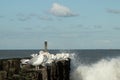 Seagulls sitting on pillars at the beach by the sea