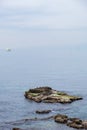 Seagulls sitting on rock in the blue sea water on a misty day with sailboat in the distance. Vertical image. Copy space. Travel,
