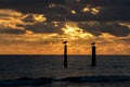 Seagulls sitting on wooden wave breakers at sunset