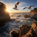 Seagulls Soaring Above Majestic Rocky Cliffs at Golden Hour Royalty Free Stock Photo
