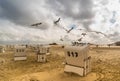 Seagulls in St. Peter Ording Royalty Free Stock Photo