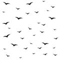 Seagulls swarm or other black birds silhouettes seamless