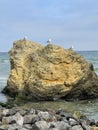 Seagulls on top of a yellow rock Royalty Free Stock Photo