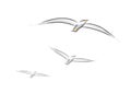 Seagulls (vector)