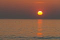 Seagulls waiting for sunset, North Sea