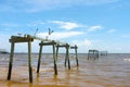 Seagulls on Wrecked Pier out in the Gulf of Mexico Royalty Free Stock Photo