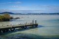 Seagulls on wooden pier, Rotorua lake , New Zealand