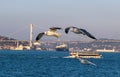 Seaguls and bosphorus bridge Istanbul