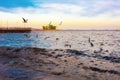 Seaguls on embankment