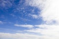 Seaguls Flying High Migrating Mid Flight Royalty Free Stock Photo