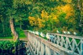 Seaguls on a small bridge