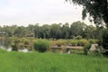 Seaham Swamp New South Wales Australia surrounded by native Australian trees.