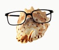 Seahell in eyeglasses Royalty Free Stock Photo