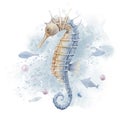 Seahorse with abstract Fishes and watercolor splash. Hand drawn illustration of Sea Horse on isolated background Royalty Free Stock Photo