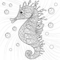 Seahorse. Adult antistress coloring page