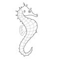 Seahorse