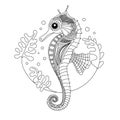 Seahorse coloring book illustration. Black and white lines.