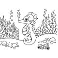 Seahorse coloring pages vector