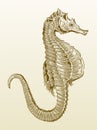 Seahorse in profile view on a yellowish-brown gradient background