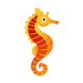 Seahorse or hippocampus, sea creature. Colorful cartoon character Royalty Free Stock Photo