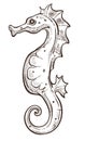 Seahorse isolated underwater animal sketch marine symbol or seafood